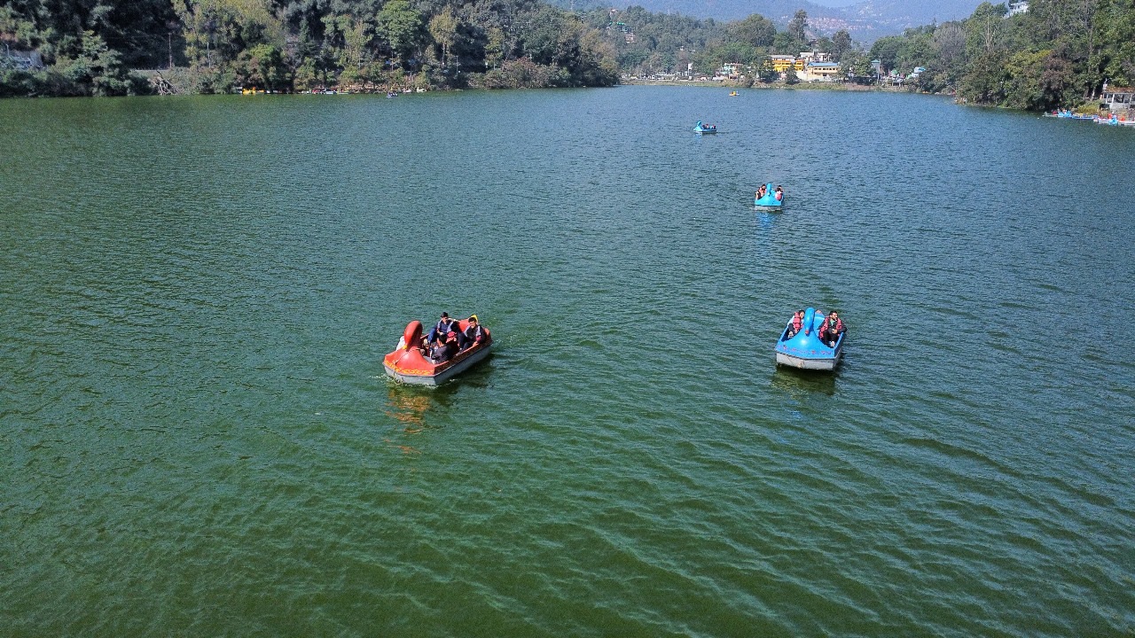 56529b0e 02f4 4c1b ba0f 63454569d29c